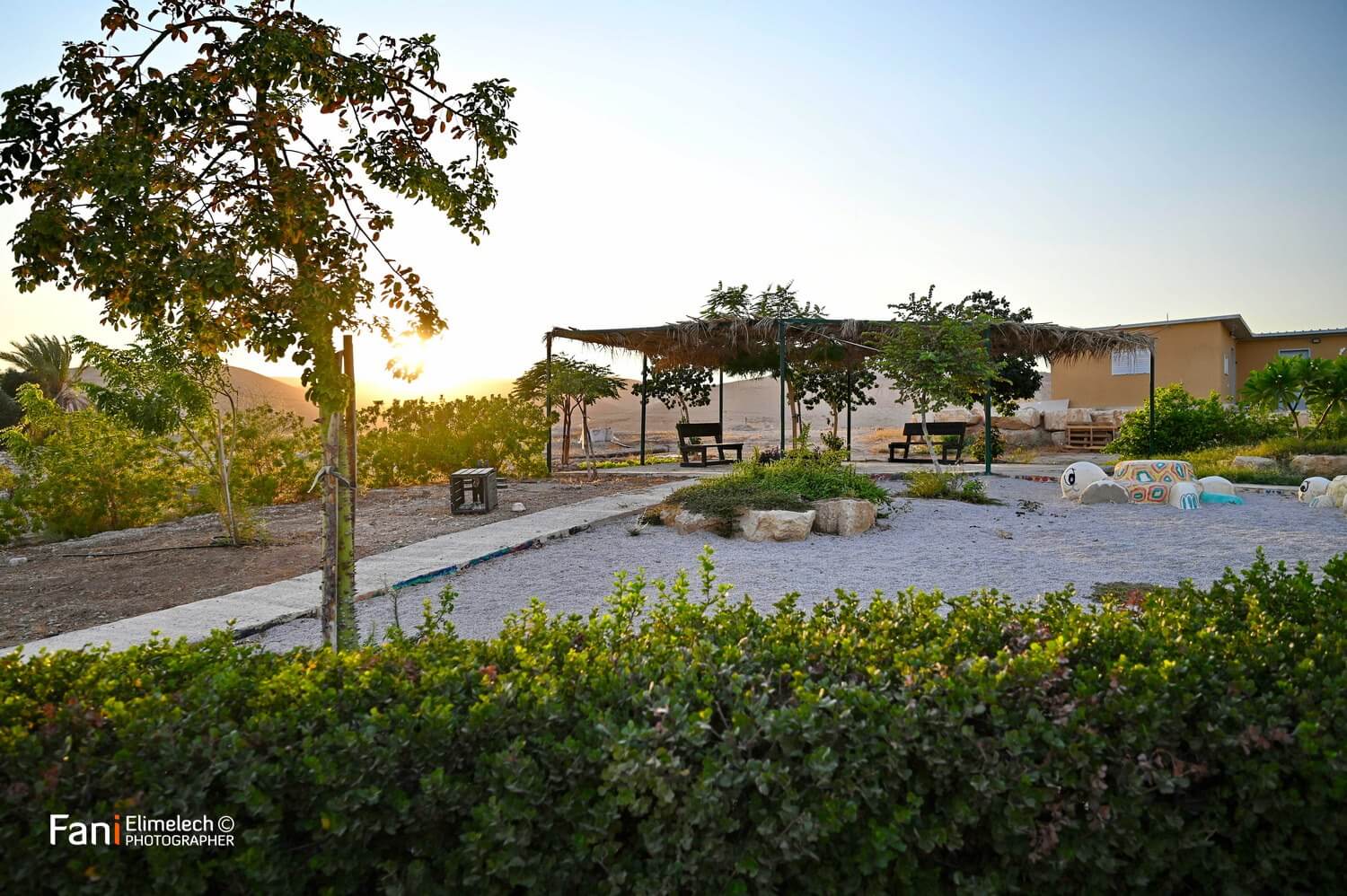 Gallery Naama